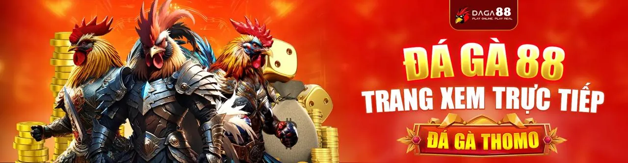 Sân đá gà trực tuyến 555BET